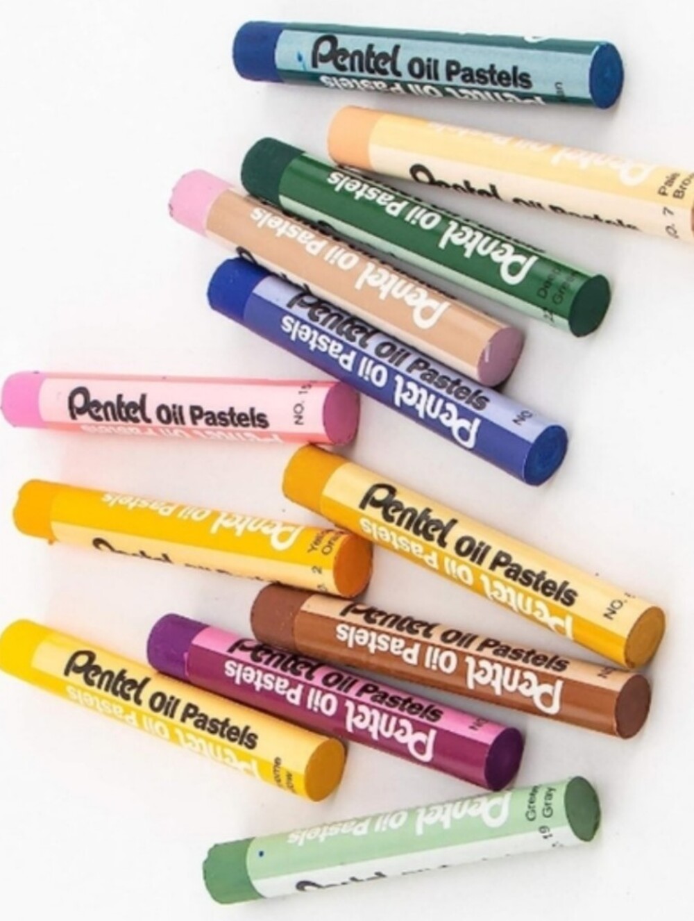 432pc Set Classroom Size Box Oil Pastels Art Bulk Supplies Pastel Crayons Artist